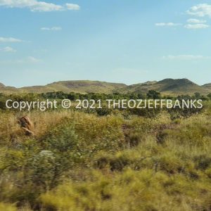 ROzCh62-41 | Travelling Around Australia with Jeff Banks