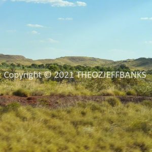 ROzCh62-42 | Travelling Around Australia with Jeff Banks