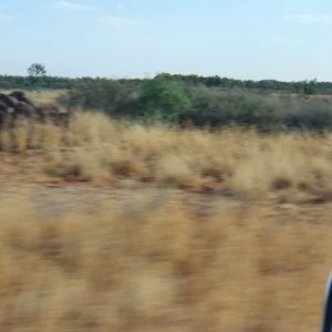 ROzCh62-68 | Travelling Around Australia with Jeff Banks