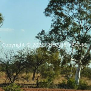 ROzCh62-72C | Travelling Around Australia with Jeff Banks