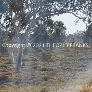 ROzCh62-81 | Travelling Around Australia with Jeff Banks