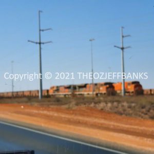 ROzCh63-06