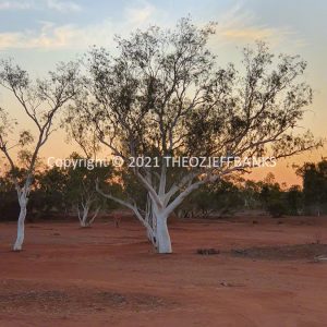 ROzCh63-117C | Travelling Around Australia with Jeff Banks