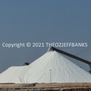 ROzCh63-17