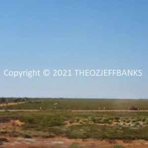 ROzCh63-19