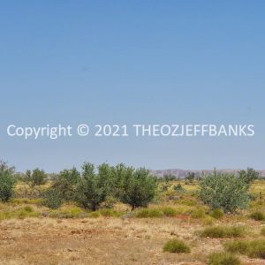 ROzCh63-35 | Travelling Around Australia with Jeff Banks