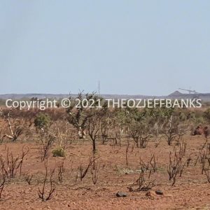 ROzCh63-71 | Travelling Around Australia with Jeff Banks