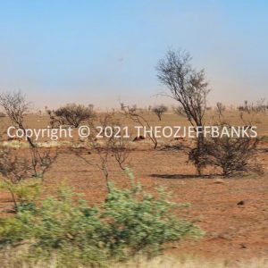 ROzCh64-11 | Travelling Around Australia with Jeff Banks
