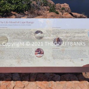 ROzCh65-46 | Travelling Around Australia with Jeff Banks