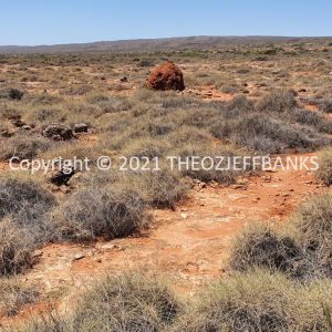 ROzCh65-55 | Travelling Around Australia with Jeff Banks