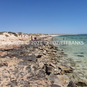 ROzCh65-87 | Travelling Around Australia with Jeff Banks