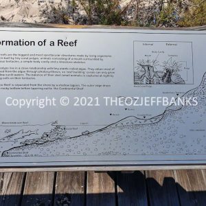 ROzCh65-92 | Travelling Around Australia with Jeff Banks
