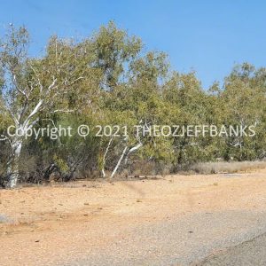 ROzCh67-56 | Travelling Around Australia with Jeff Banks
