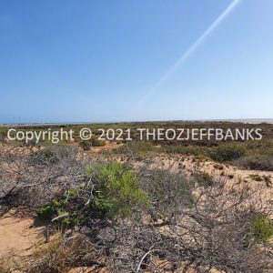 ROzCh68-97 | Travelling Around Australia with Jeff Banks