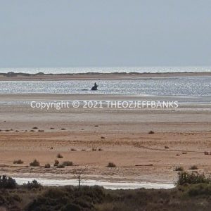 ROzCh69-94 | Travelling Around Australia with Jeff Banks