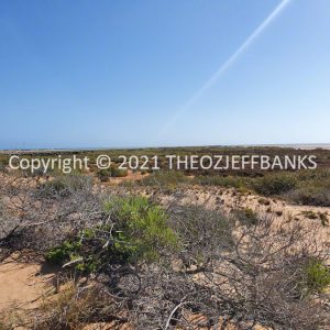ROzCh69-97 | Travelling Around Australia with Jeff Banks