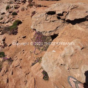 ROzCh70-110 | Travelling Around Australia with Jeff Banks