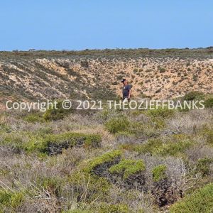 ROzCh70-125 | Travelling Around Australia with Jeff Banks