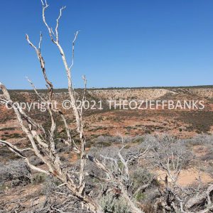 ROzCh70-133 | Travelling Around Australia with Jeff Banks