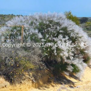 ROzCh70-27F
