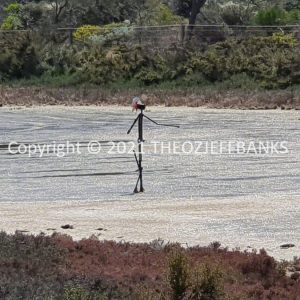 ROzCh70-92 | Travelling Around Australia with Jeff Banks
