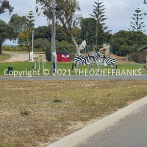 ROzCh71-27 | Travelling Around Australia with Jeff Banks