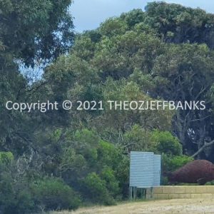 ROzCh71-35 | Travelling Around Australia with Jeff Banks