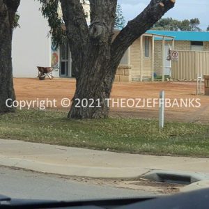 ROzCh72-29 | Travelling Around Australia with Jeff Banks