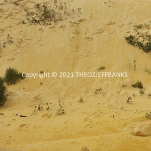 ROzCh72-53 | Travelling Around Australia with Jeff Banks