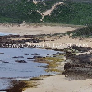 ROzCh78-115 | Travelling Around Australia with Jeff Banks