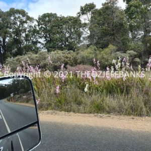 ROzCh78-57 | Travelling Around Australia with Jeff Banks