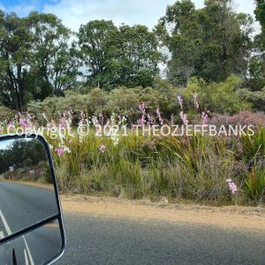 ROzCh78-58 | Travelling Around Australia with Jeff Banks