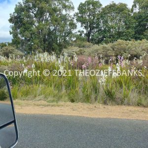 ROzCh78-60 | Travelling Around Australia with Jeff Banks