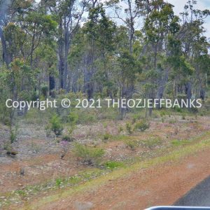 ROzCh79-101 | Travelling Around Australia with Jeff Banks