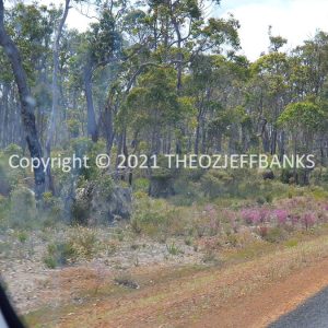 ROzCh79-102 | Travelling Around Australia with Jeff Banks