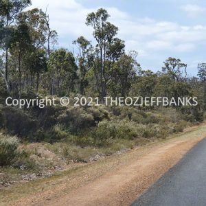 ROzCh79-103 | Travelling Around Australia with Jeff Banks