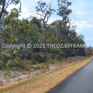 ROzCh79-104 | Travelling Around Australia with Jeff Banks