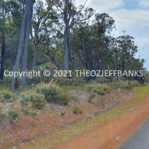 ROzCh79-105 | Travelling Around Australia with Jeff Banks