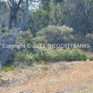 ROzCh79-106 | Travelling Around Australia with Jeff Banks
