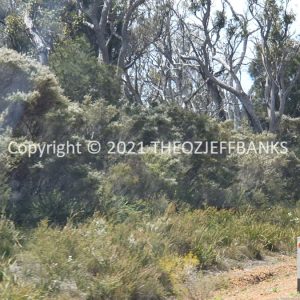 ROzCh79-107 | Travelling Around Australia with Jeff Banks