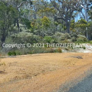 ROzCh79-108 | Travelling Around Australia with Jeff Banks