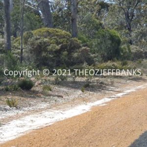 ROzCh79-109 | Travelling Around Australia with Jeff Banks