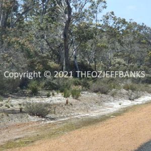ROzCh79-110 | Travelling Around Australia with Jeff Banks