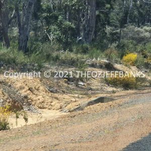 ROzCh79-113 | Travelling Around Australia with Jeff Banks