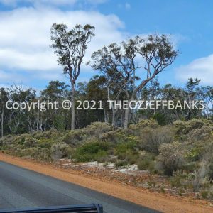 ROzCh79-114 | Travelling Around Australia with Jeff Banks