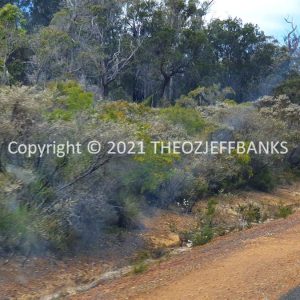 ROzCh79-115 | Travelling Around Australia with Jeff Banks