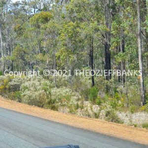 ROzCh79-117 | Travelling Around Australia with Jeff Banks
