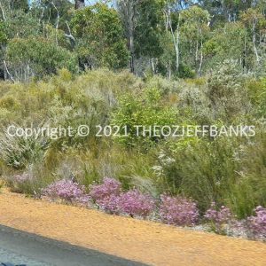 ROzCh79-121 | Travelling Around Australia with Jeff Banks
