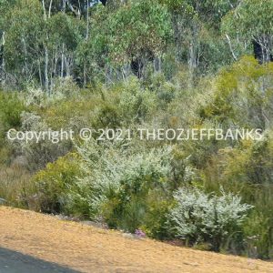 ROzCh79-122 | Travelling Around Australia with Jeff Banks