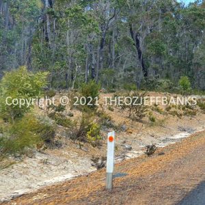 ROzCh79-124 | Travelling Around Australia with Jeff Banks